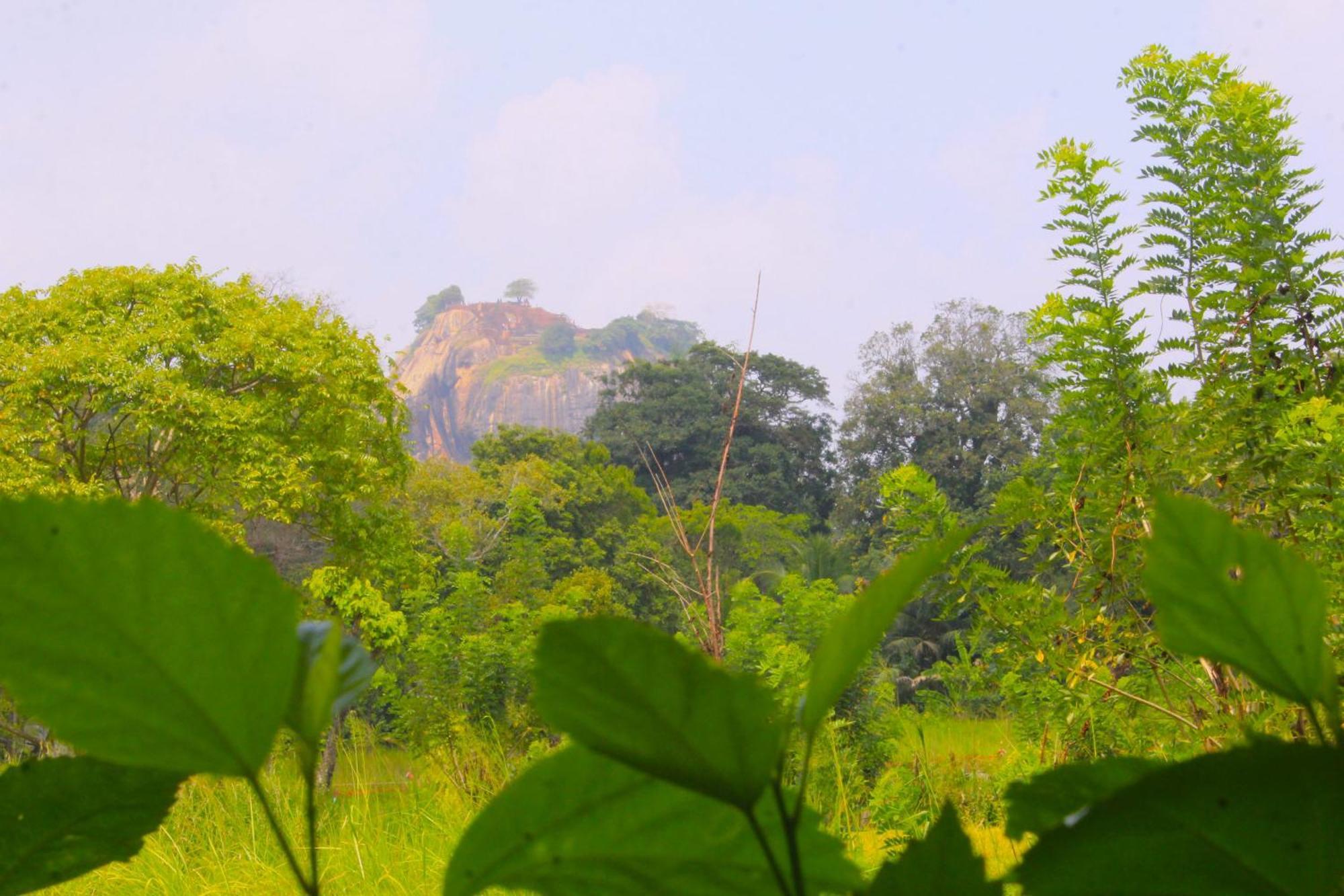 Sigiriya Palace View Ngoại thất bức ảnh